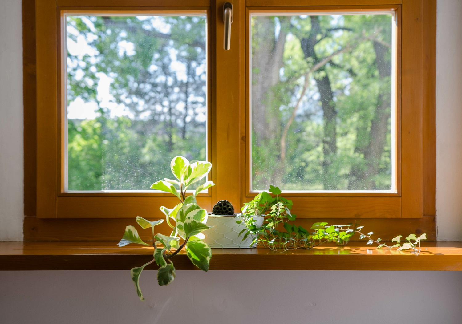 Rhino Siding & Window Replacement